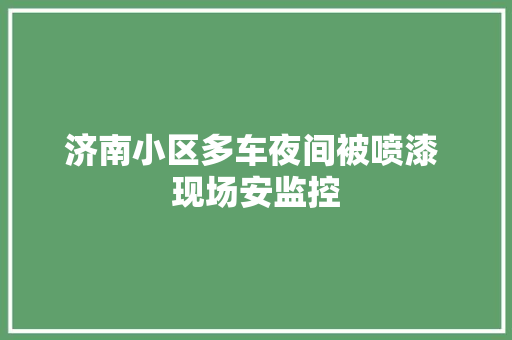 济南小区多车夜间被喷漆 现场安监控