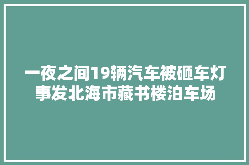 一夜之间19辆汽车被砸车灯事发北海市藏书楼泊车场