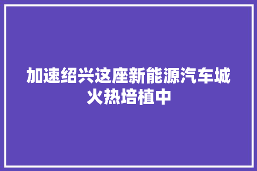 加速绍兴这座新能源汽车城火热培植中