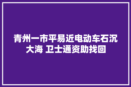 青州一市平易近电动车石沉大海 卫士通资助找回