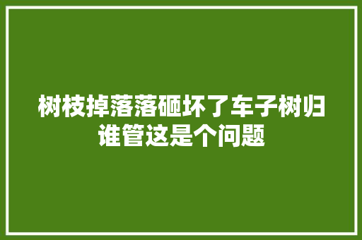 树枝掉落落砸坏了车子树归谁管这是个问题