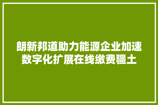 朗新邦道助力能源企业加速数字化扩展在线缴费疆土
