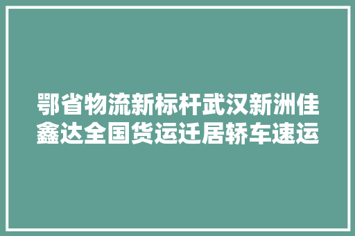 鄂省物流新标杆武汉新洲佳鑫达全国货运迁居轿车速运专家
