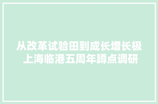 从改革试验田到成长增长极 上海临港五周年蹲点调研记