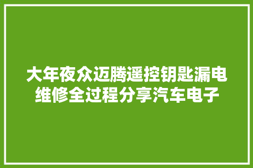 大年夜众迈腾遥控钥匙漏电维修全过程分享汽车电子