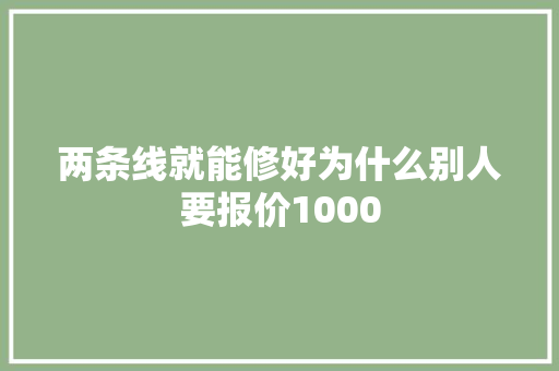 两条线就能修好为什么别人要报价1000
