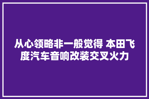 从心领略非一般觉得 本田飞度汽车音响改装交叉火力