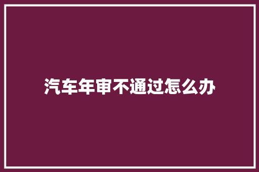 汽车年审不通过怎么办