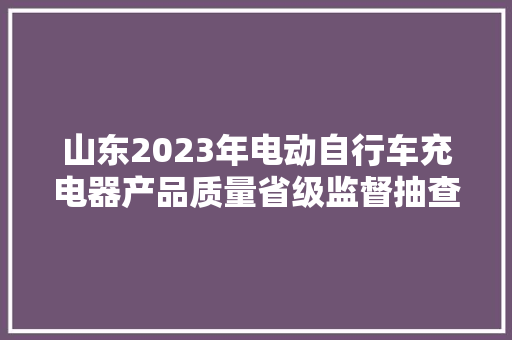 山东2023年电动自行车充电器产品质量省级监督抽查结果二