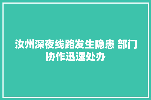汝州深夜线路发生隐患 部门协作迅速处办