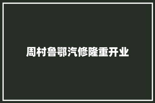 周村鲁鄂汽修隆重开业