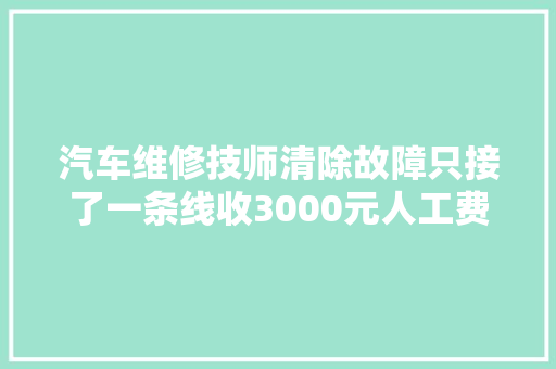 汽车维修技师清除故障只接了一条线收3000元人工费合理吗