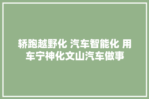 轿跑越野化 汽车智能化 用车宁神化文山汽车做事