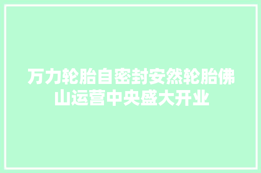 万力轮胎自密封安然轮胎佛山运营中央盛大开业