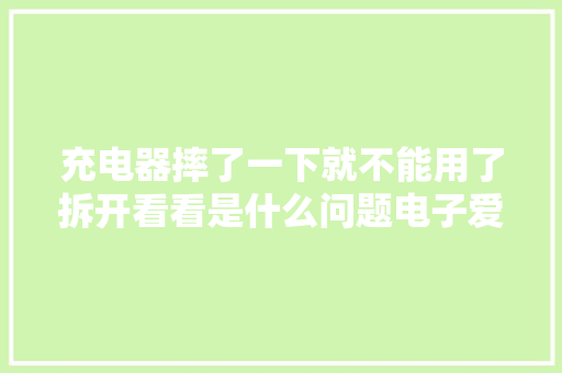 充电器摔了一下就不能用了拆开看看是什么问题电子爱好者