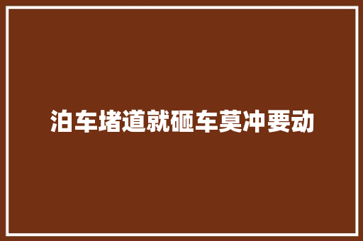 泊车堵道就砸车莫冲要动