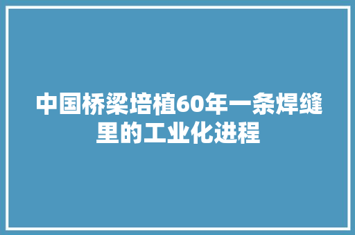 中国桥梁培植60年一条焊缝里的工业化进程