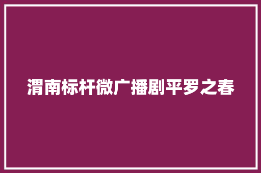 渭南标杆微广播剧平罗之春 汽车知识