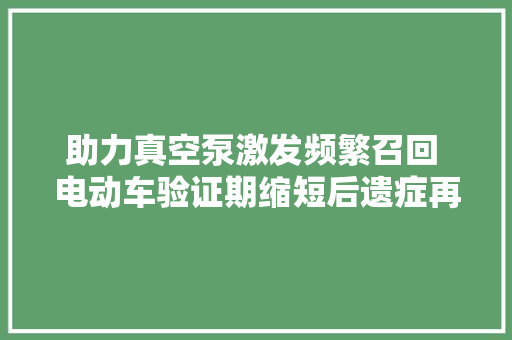 助力真空泵激发频繁召回 电动车验证期缩短后遗症再现