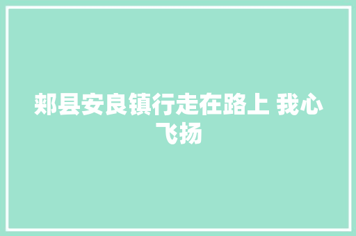 郏县安良镇行走在路上 我心飞扬