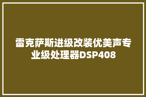 雷克萨斯进级改装优美声专业级处理器DSP408