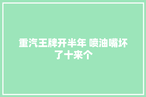 重汽王牌开半年 喷油嘴坏了十来个