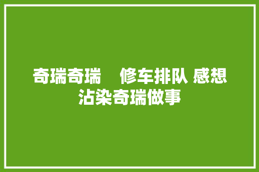 奇瑞奇瑞    修车排队 感想沾染奇瑞做事