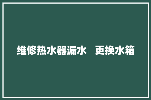 维修热水器漏水   更换水箱