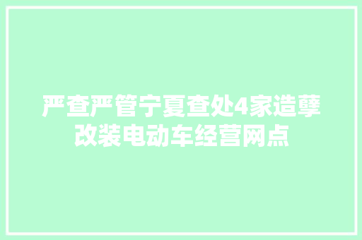 严查严管宁夏查处4家造孽改装电动车经营网点