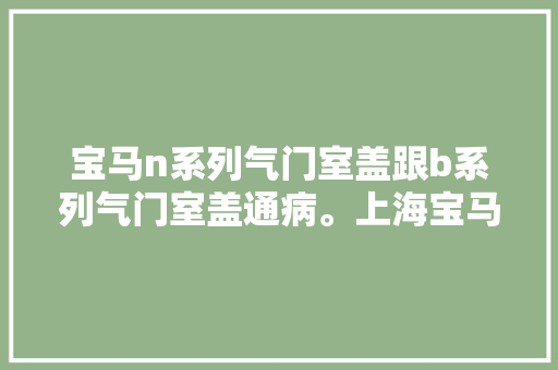 宝马n系列气门室盖跟b系列气门室盖通病。上海宝马专修小罗