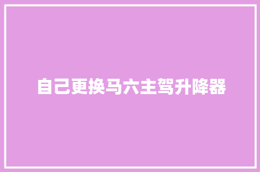 自己更换马六主驾升降器