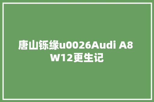 唐山铄缘u0026Audi A8 W12更生记