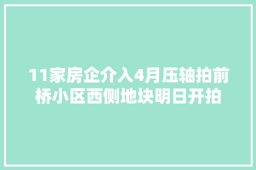 11家房企介入4月压轴拍前桥小区西侧地块明日开拍