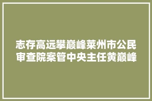 志存高远攀巅峰莱州市公民审查院案管中央主任黄巅峰