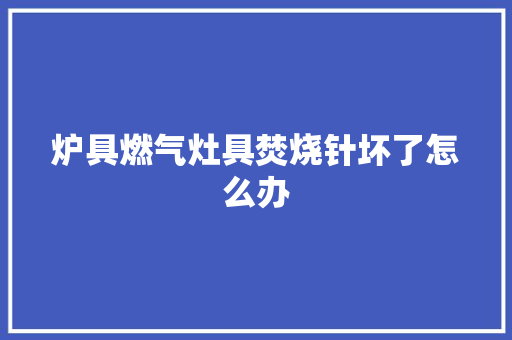 炉具燃气灶具焚烧针坏了怎么办