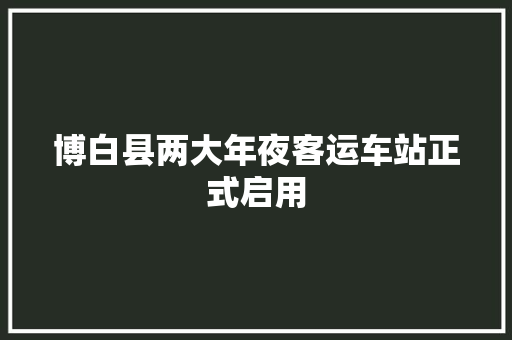 博白县两大年夜客运车站正式启用