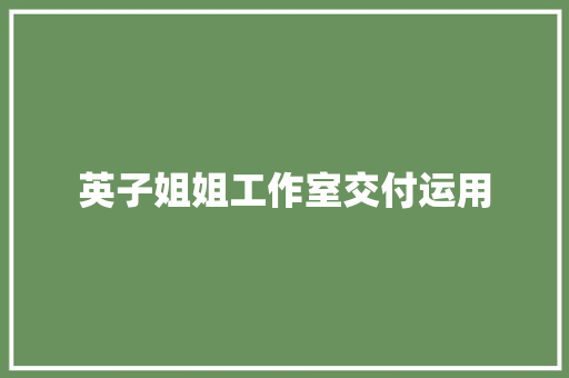 英子姐姐工作室交付运用