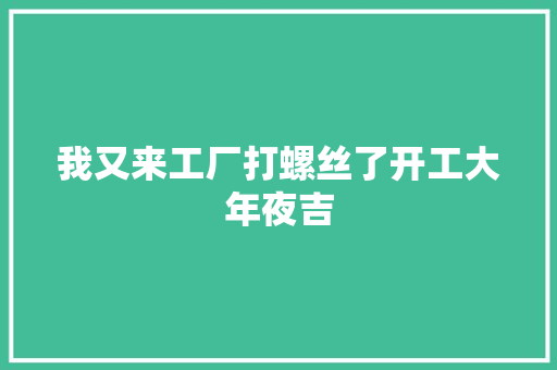我又来工厂打螺丝了开工大年夜吉
