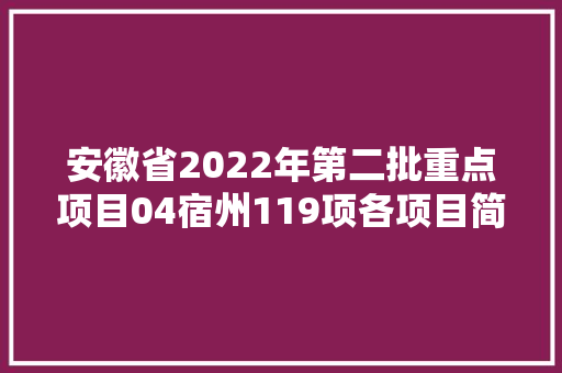 安徽省2022年第二批重点项目04宿州119项各项目简况