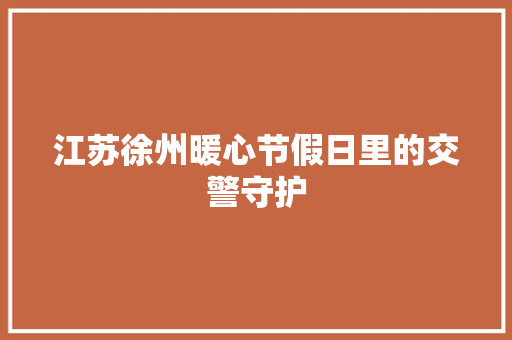 江苏徐州暖心节假日里的交警守护