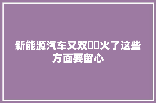新能源汽车又双叒叕火了这些方面要留心
