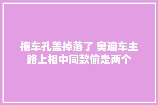 拖车孔盖掉落了 奥迪车主路上相中同款偷走两个