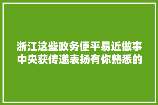 浙江这些政务便平易近做事中央获传递表扬有你熟悉的吗