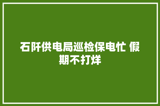 石阡供电局巡检保电忙 假期不打烊