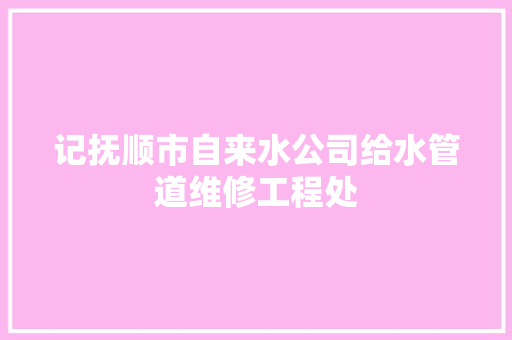 记抚顺市自来水公司给水管道维修工程处