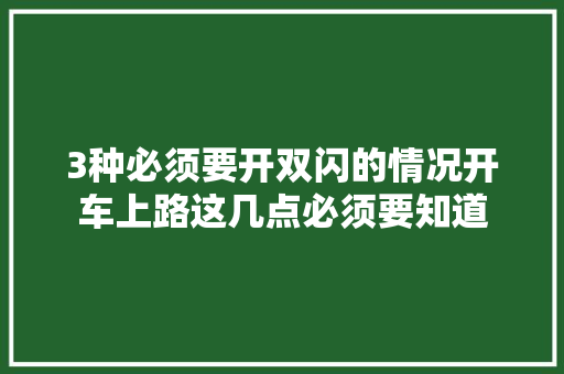 3种必须要开双闪的情况开车上路这几点必须要知道