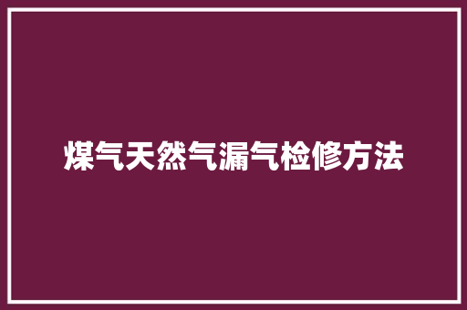 煤气天然气漏气检修方法