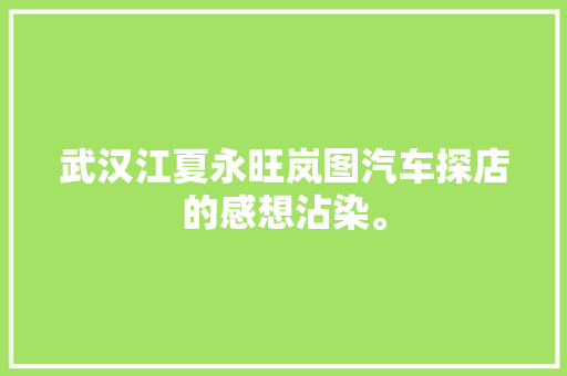 武汉江夏永旺岚图汽车探店的感想沾染。