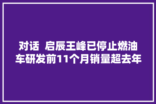 对话  启辰王峰已停止燃油车研发前11个月销量超去年全年