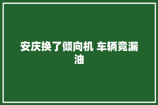 安庆换了倾向机 车辆竟漏油